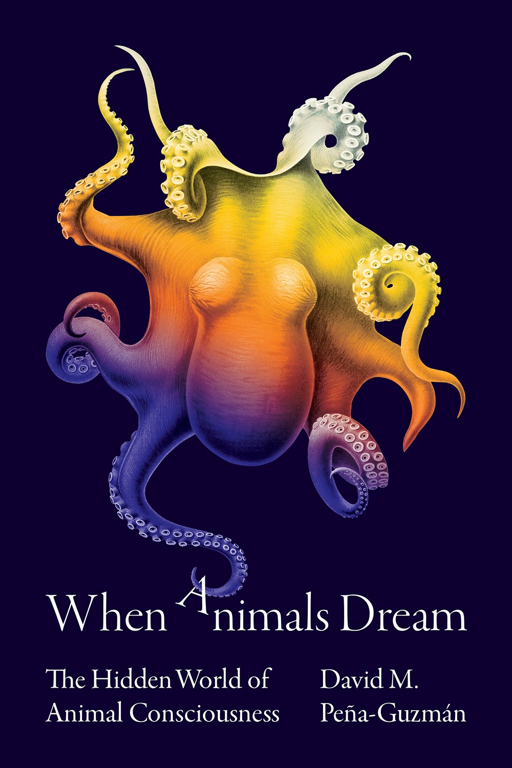 Chris-Ferrante_When-Animals-Dream