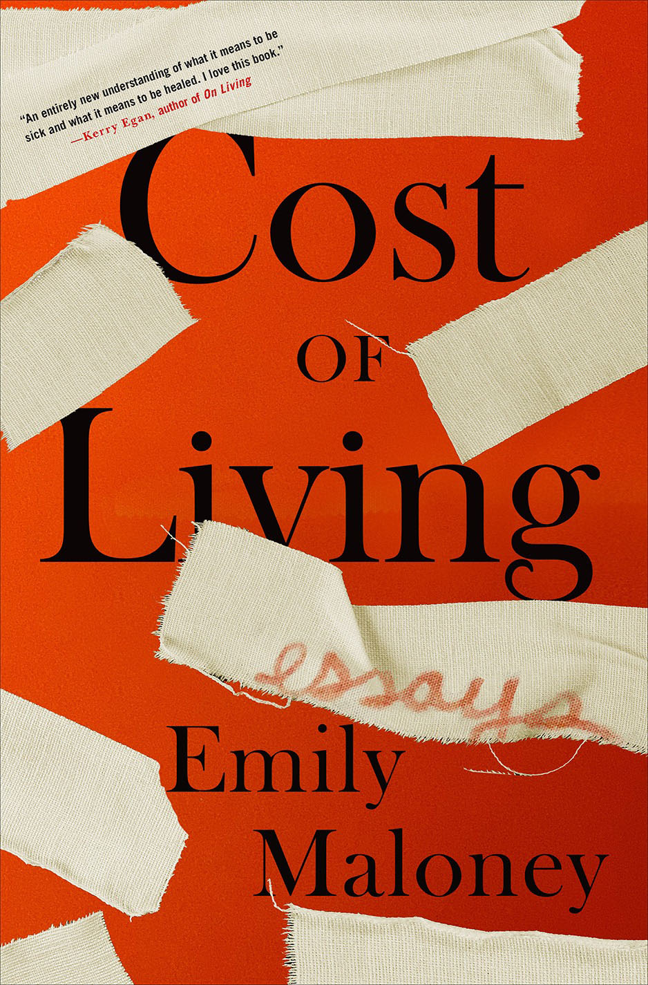 Cost_of_Living_hardcover_jacket_design_cover_smaller
