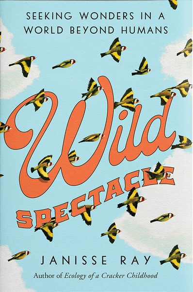 Wild Spectacle
