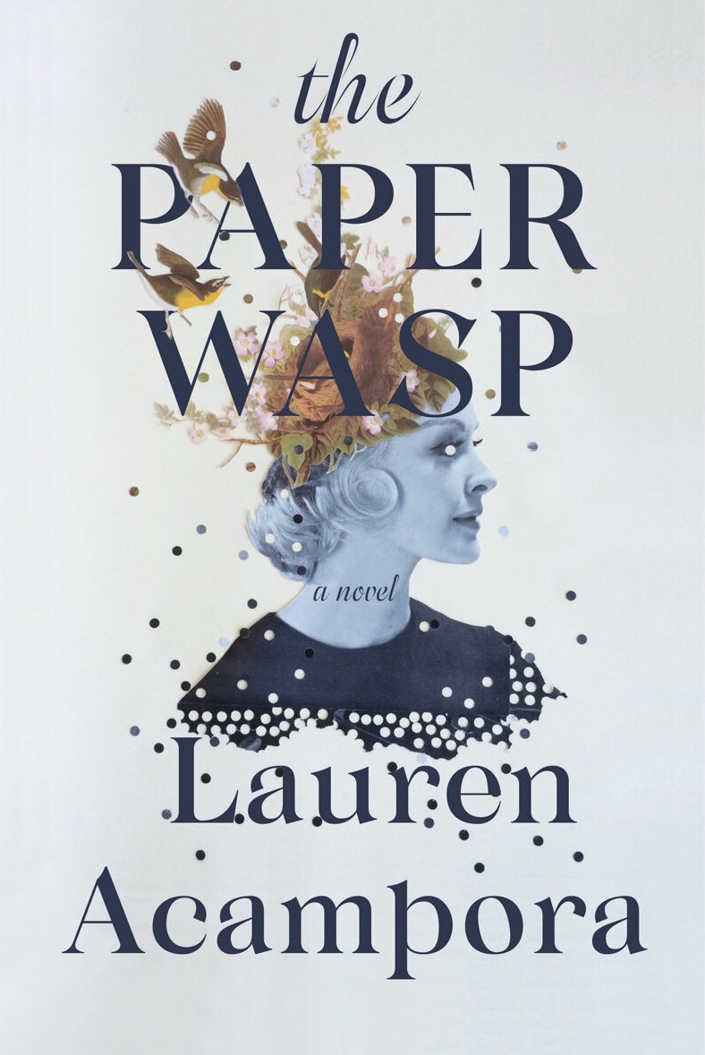 PaperWaspweb