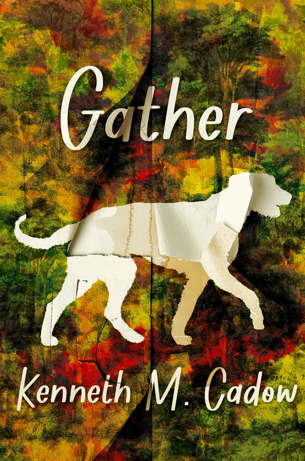 Gather-MattRoeser