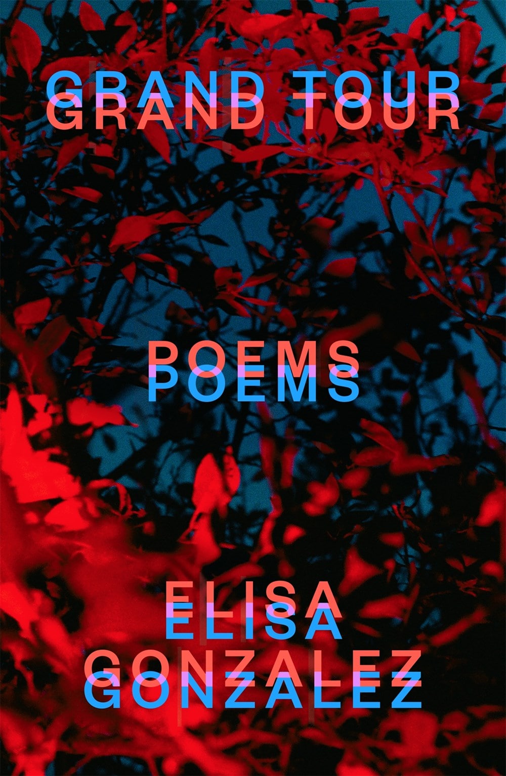 GrandTour_Poems_ElisaGonzalez