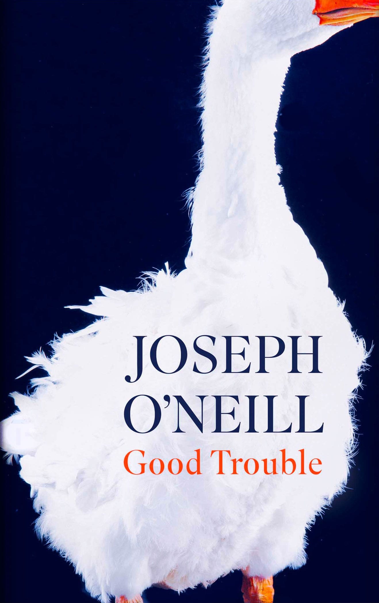 Good-Trouble_Joseph-ONeill_Heike-Schussler-min