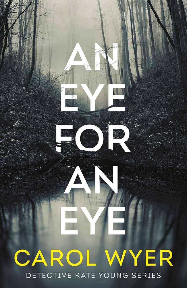 An-Eye-For-an-Eye-book-cover