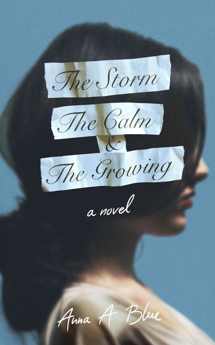 the-storm-the-calm