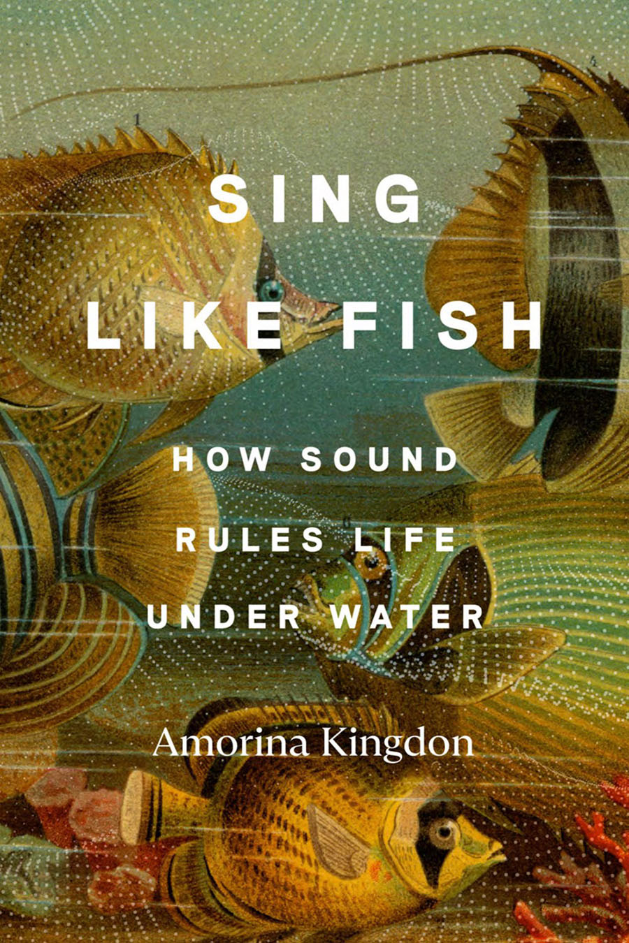 Sing-Like-Fish