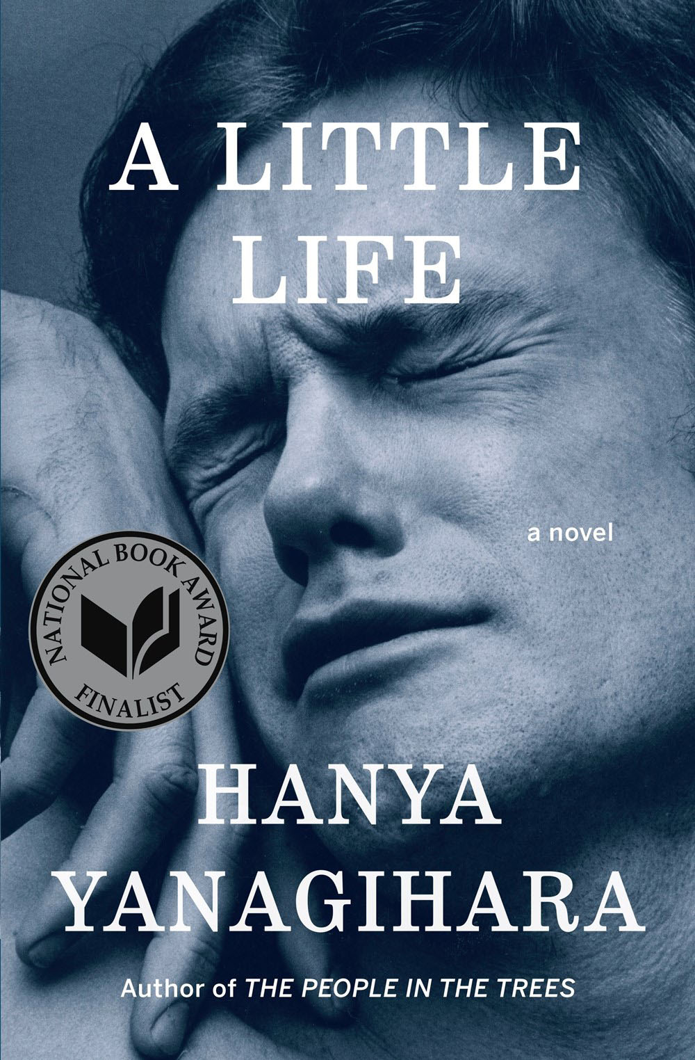 a-little-life-book-cover