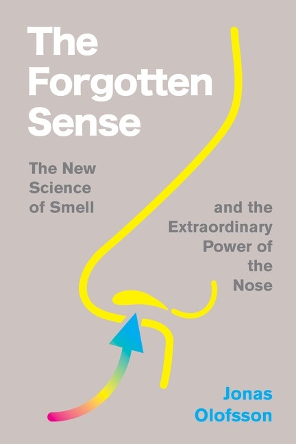 the-forgotten-sense