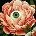 Eyes on Book Covers