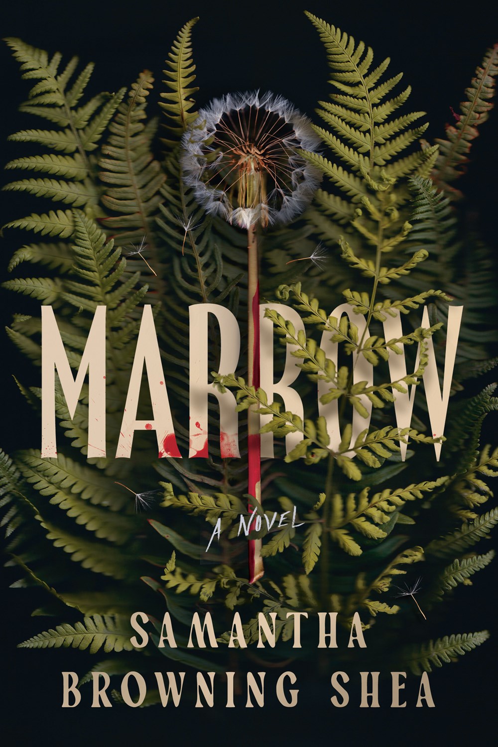 marrow