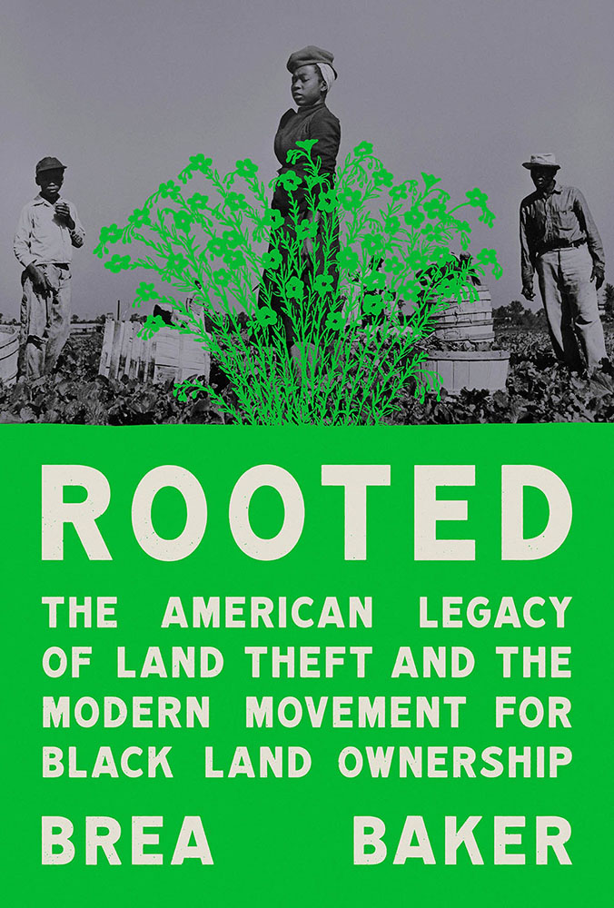 rooted-design-chris-allen