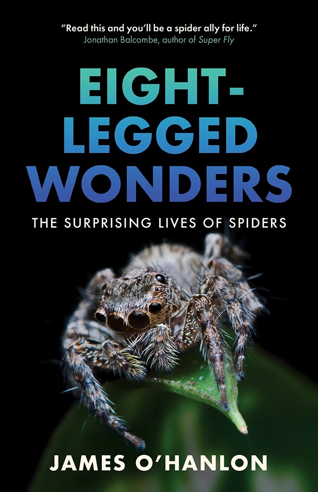 Eight-Legged-Wonders