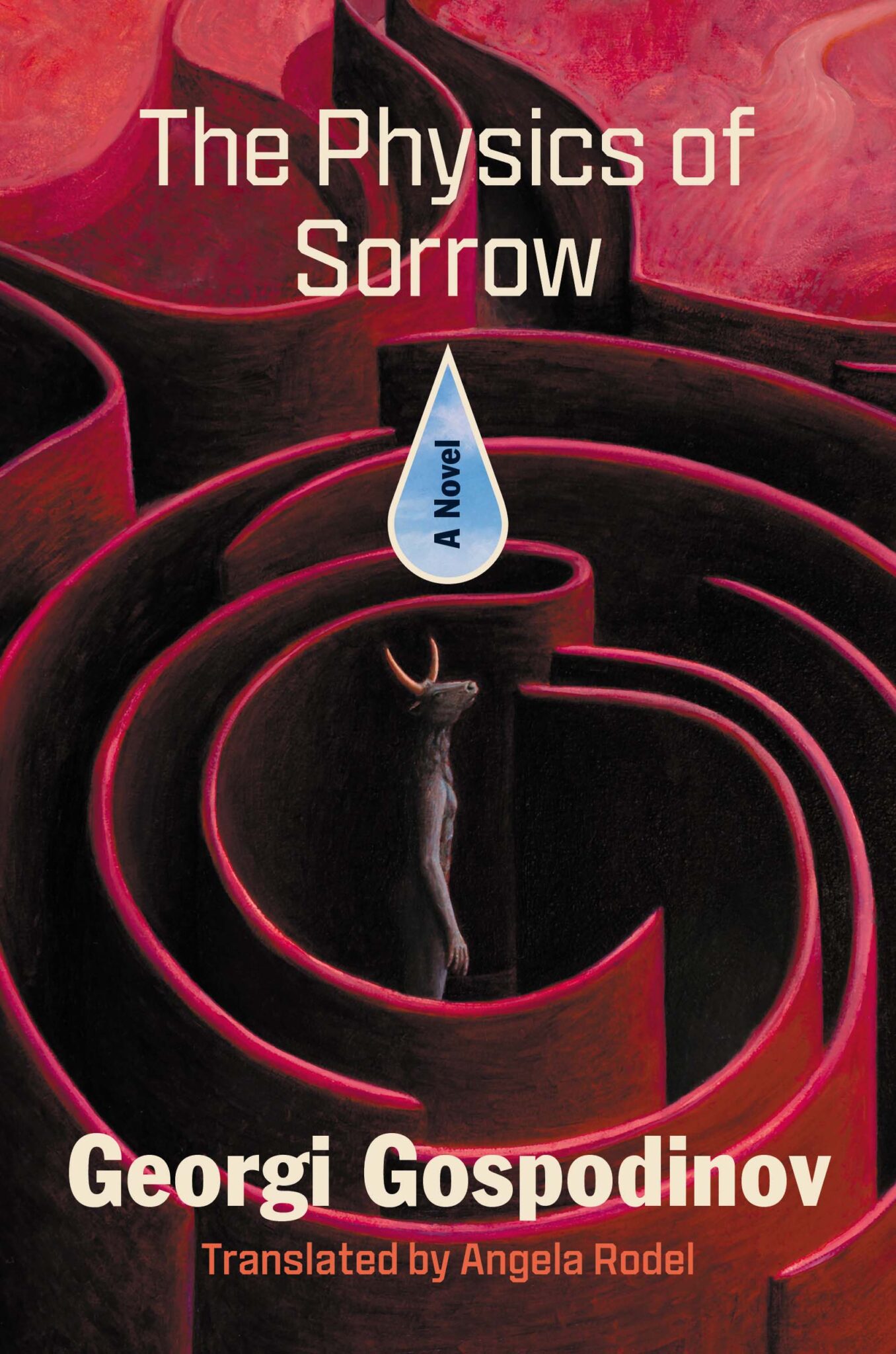 The Physics of Sorrow | I Need a Book Cover