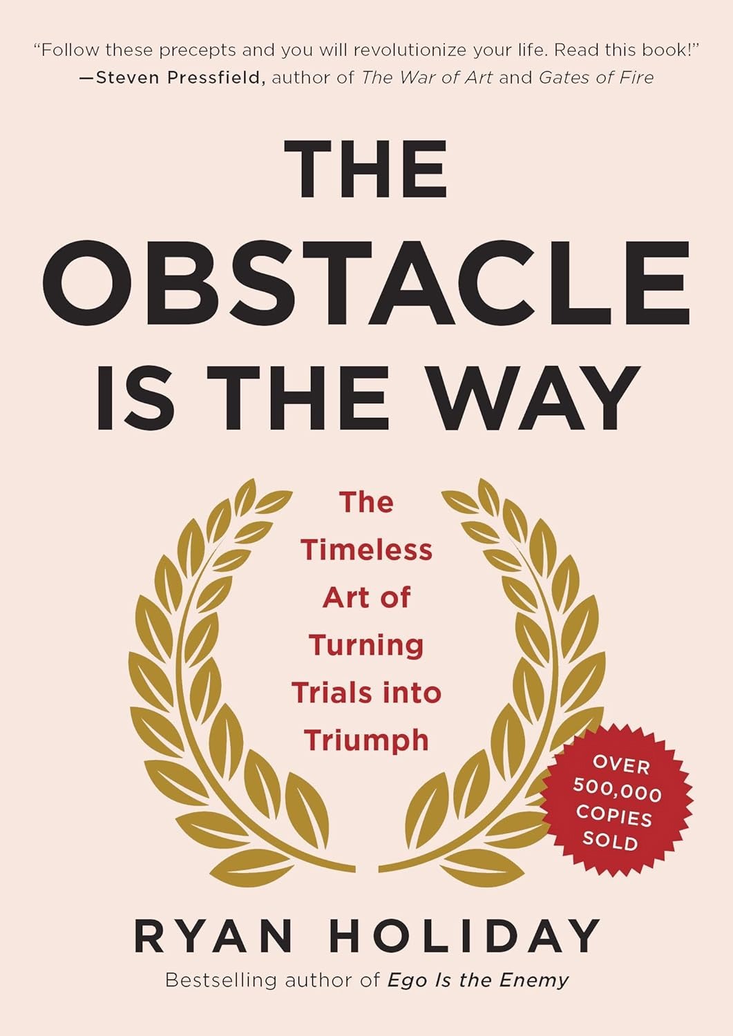 Obstacle-is-the-way_erin-tyler