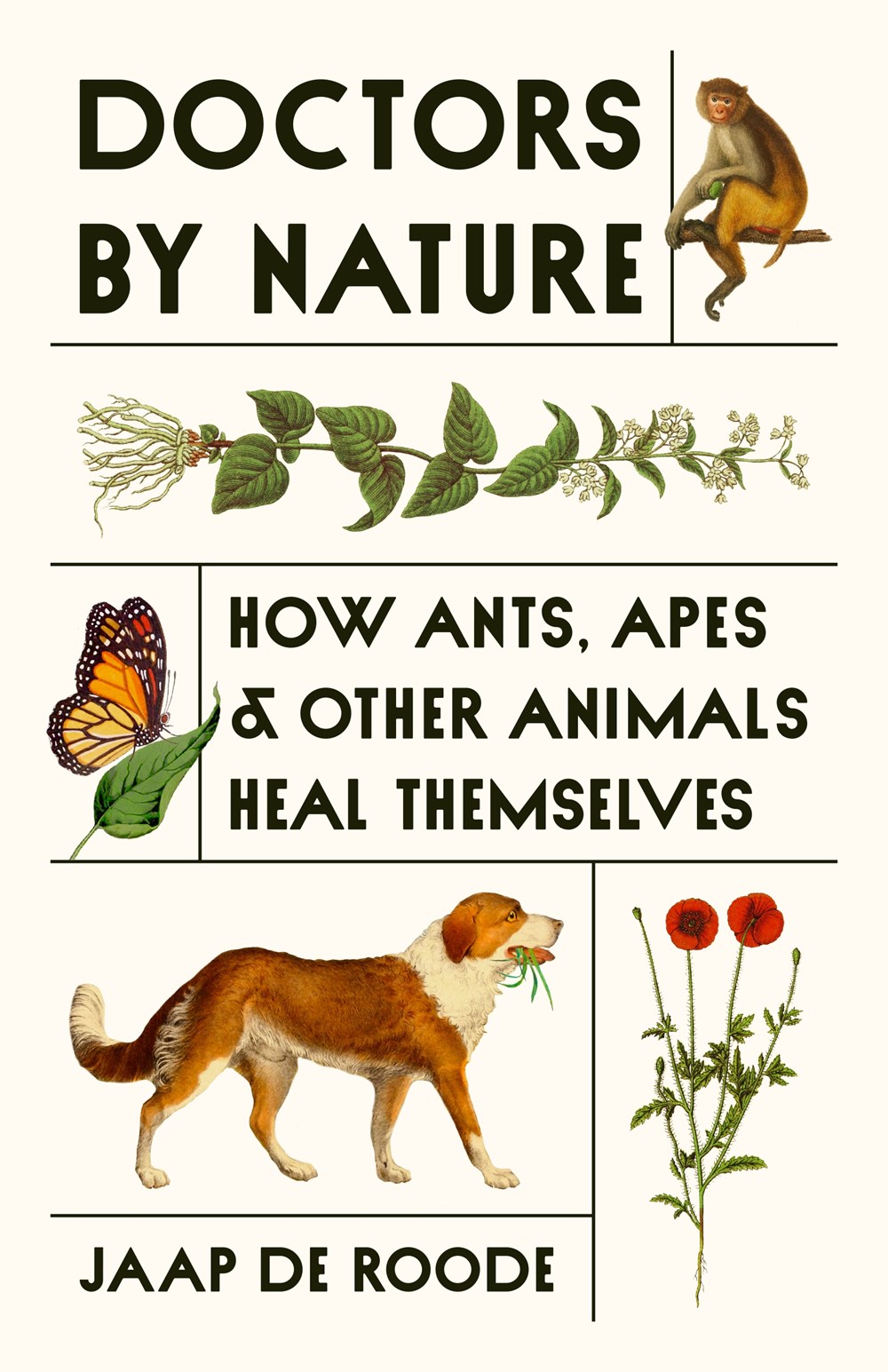 doctors-by-nature