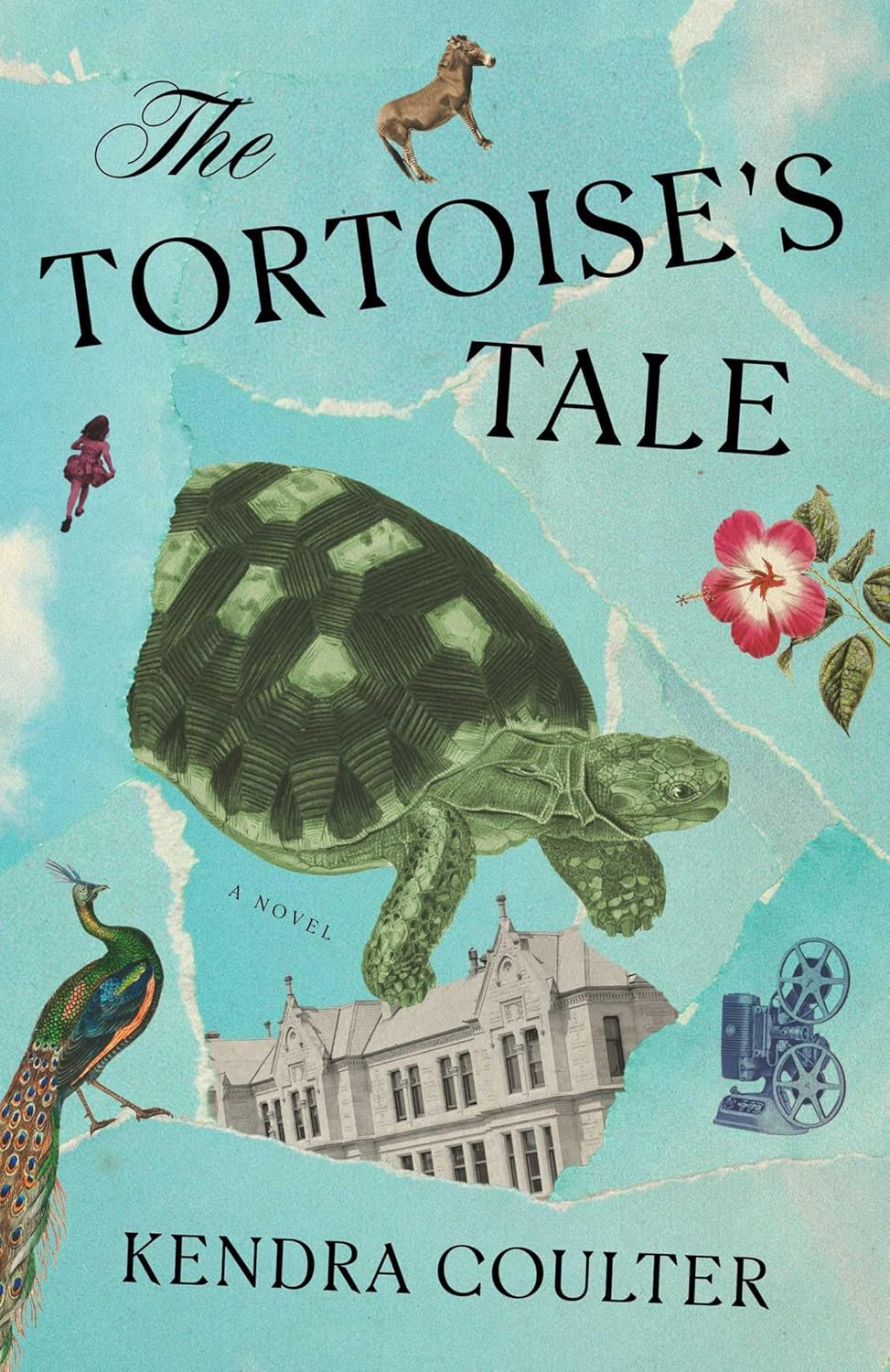 the-tortoises-tale