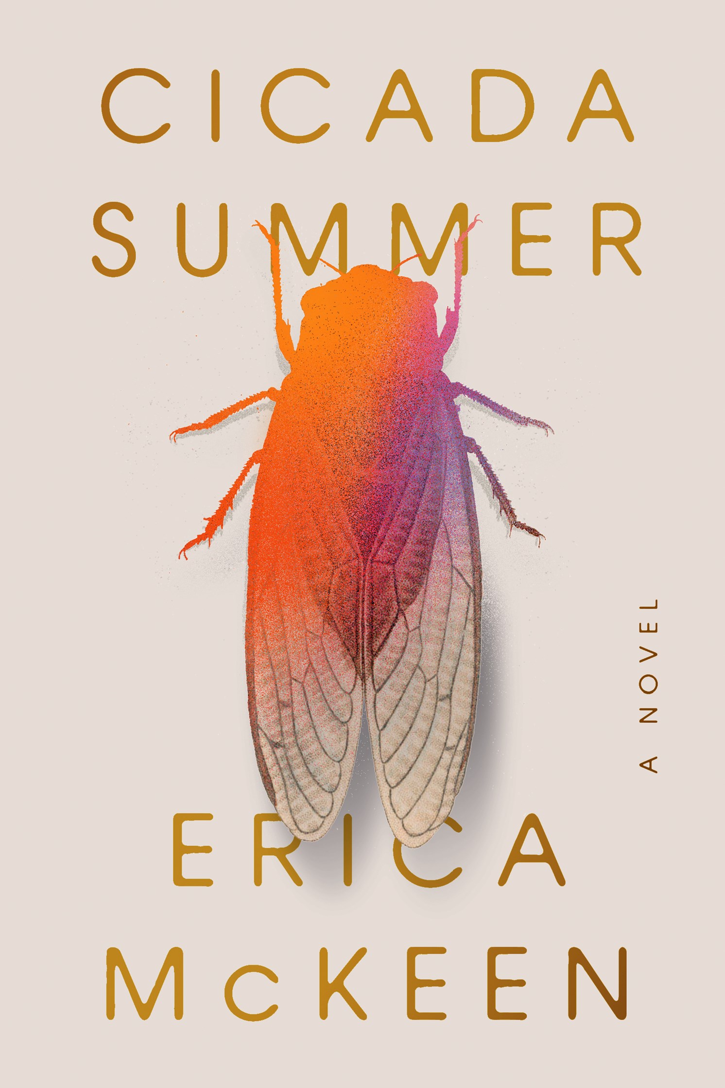 cicada-summer