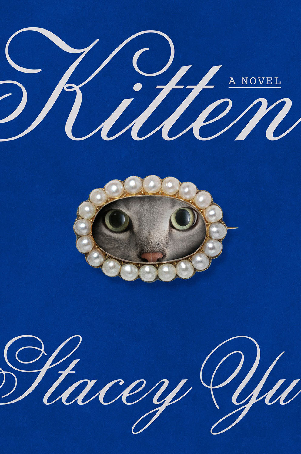 kitten-stacey-yu-usa-book-cover
