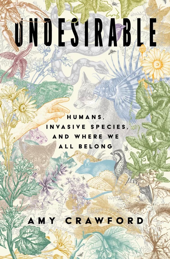 Undesirable-book-cover