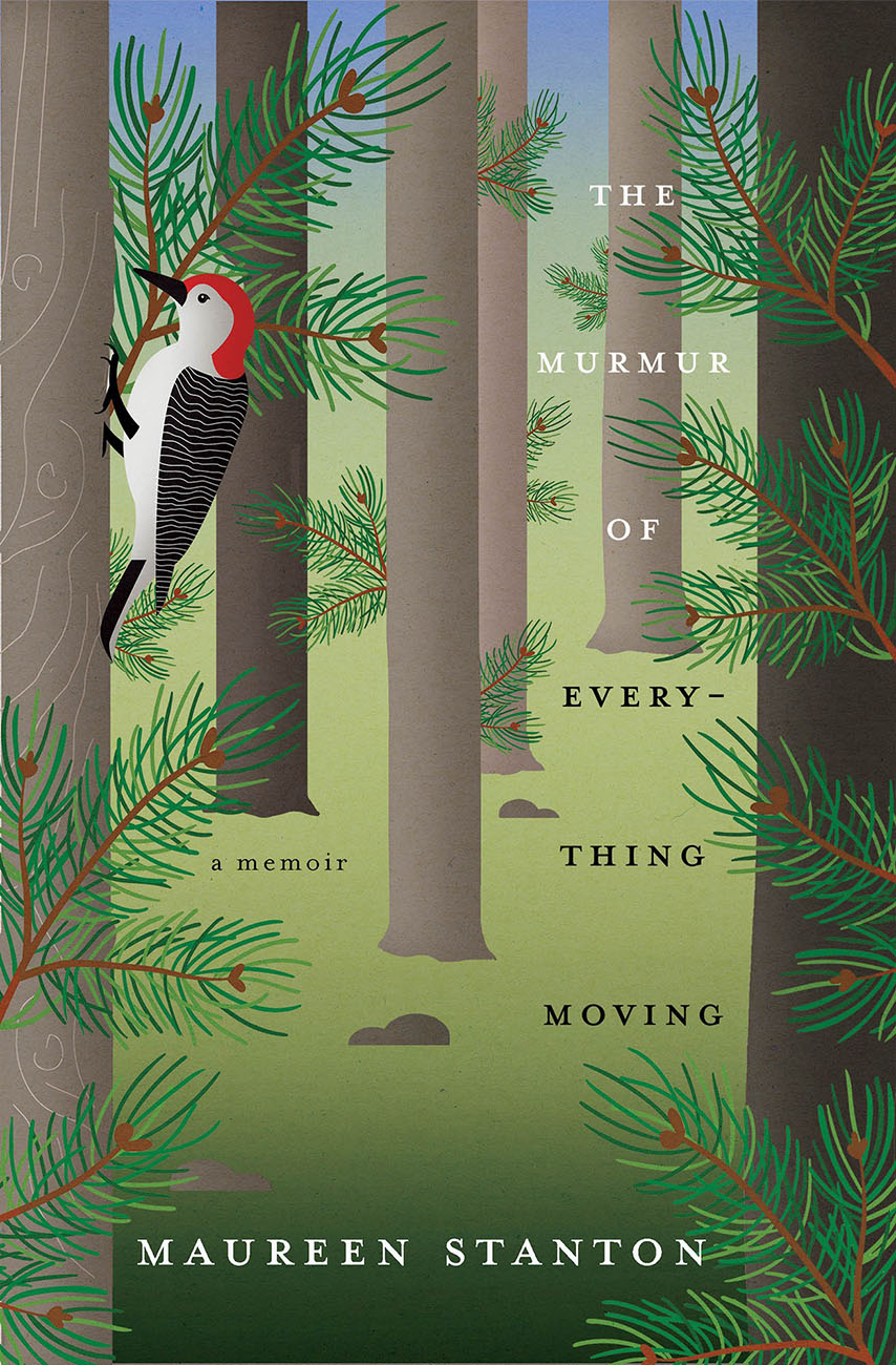 Selgin-MURMUR-of-EVERYTHING-woodpecker