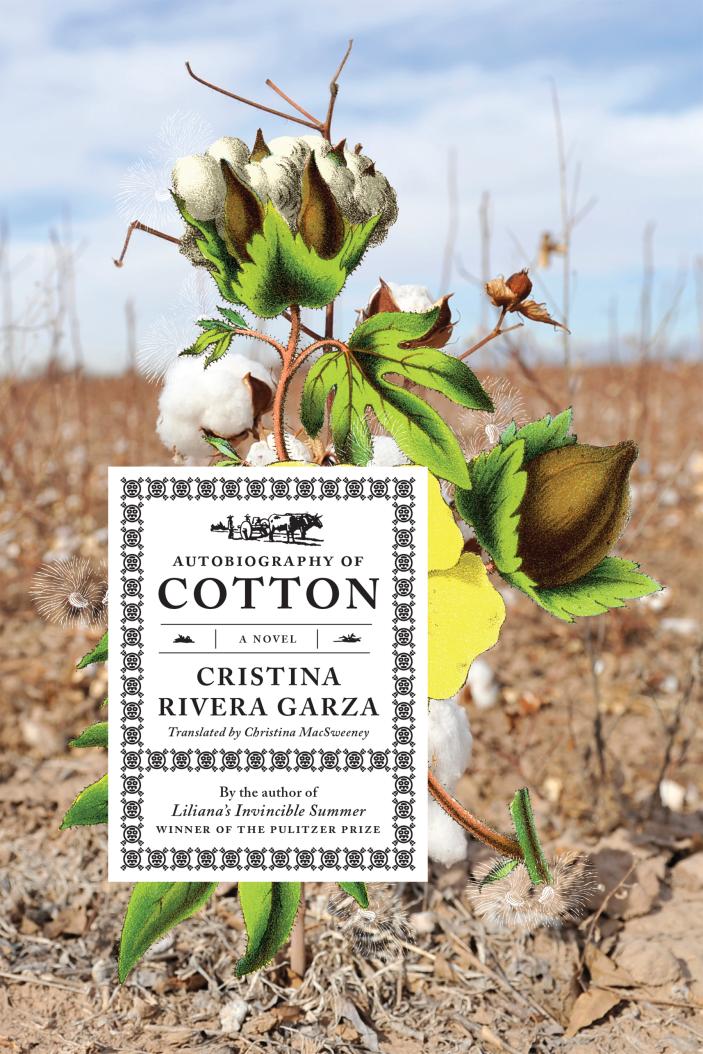 autobiography-of-cotton