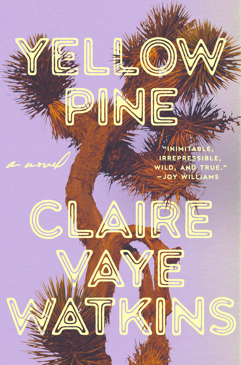 yellow-pine