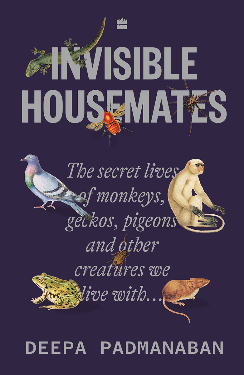 Invisible-Housemates