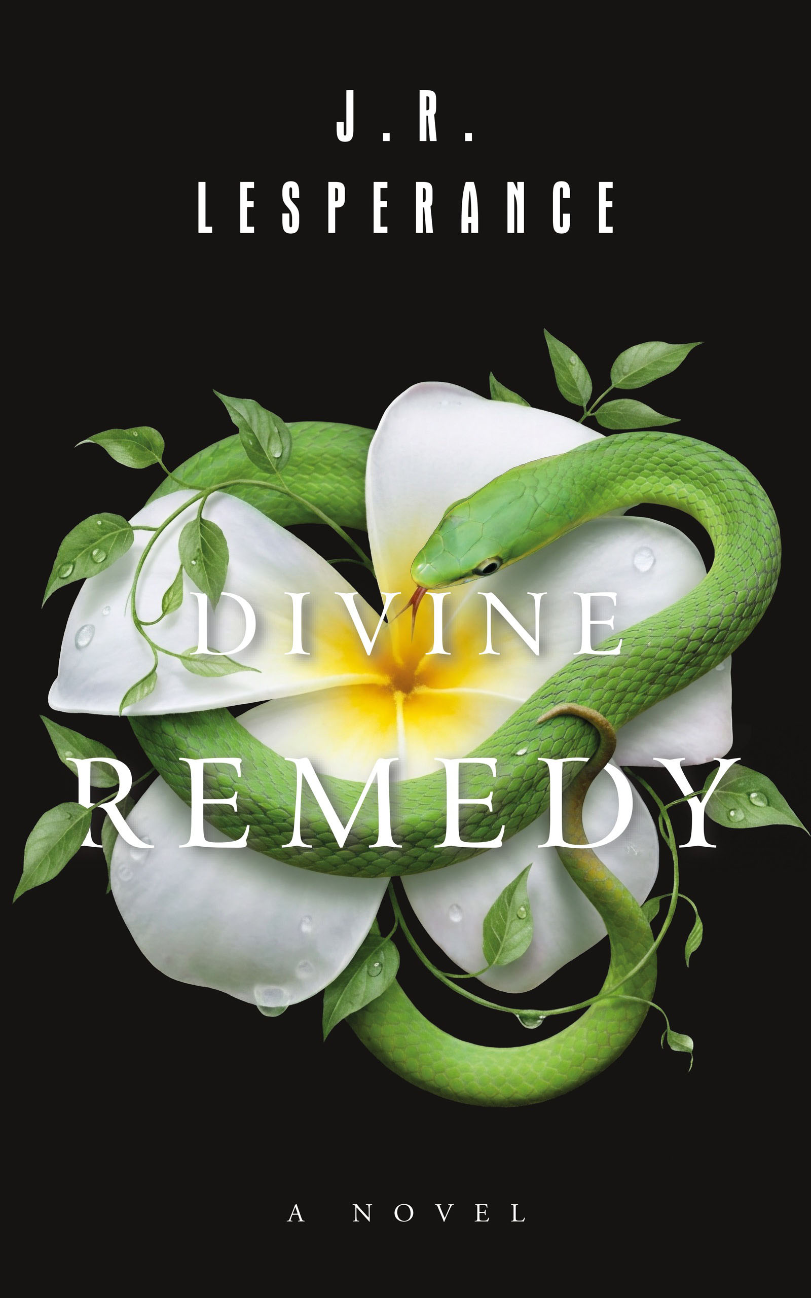J.-R.-Lesperance-Divine-Remedy