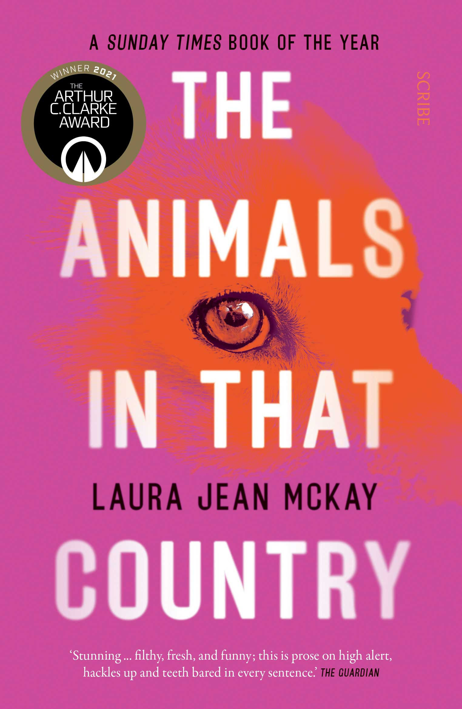 The-Animals-in-That-Country-UK-B