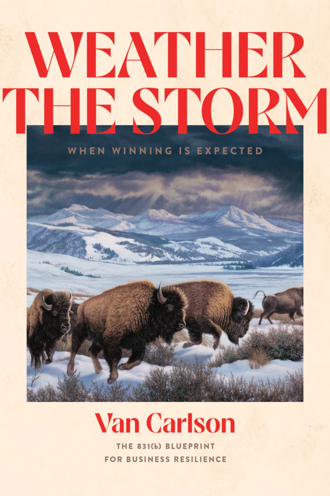 Weather-The-Storm